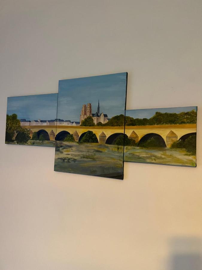 Cosy Loire, T2 Neuf, Front De Loire ,Vue Cathedrale,5Min A Pied Centre Ville Et Parking Prive Орлеан Екстер'єр фото